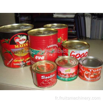 Production de pâte de tomates commerciales de ventes directes d&#39;usine